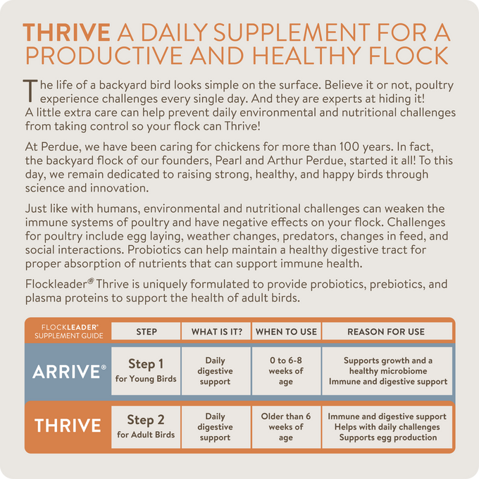 THRIVE - Daily Probiotic & Prebiotic Poultry Supplement for Chickens 8+ Weeks Old