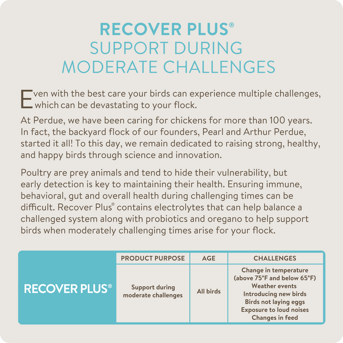 RECOVER PLUS – Moderate Stress Probiotic Water Supplement for Chickens with Electrolytes & Oregano