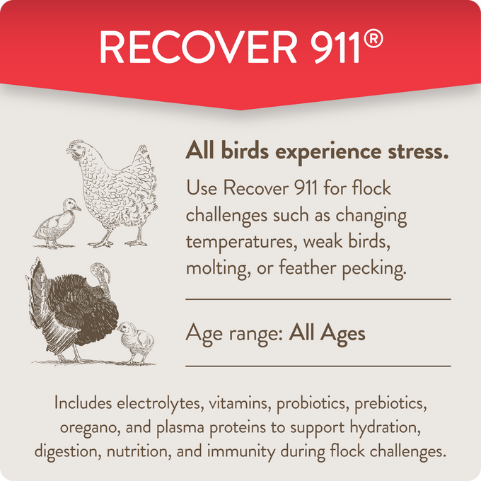 RECOVER 911 – Severe Stress Probiotic Water Supplement for Chickens with Electrolytes, Prebiotics & Oregano