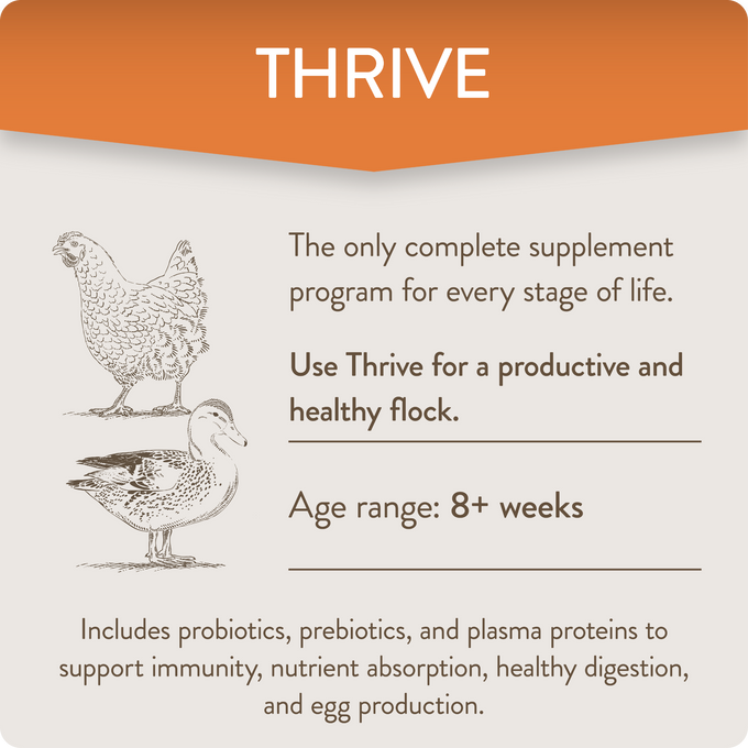 THRIVE - Daily Probiotic & Prebiotic Poultry Supplement for Chickens 8+ Weeks Old