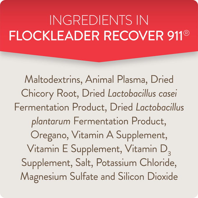 RECOVER 911 – Severe Stress Probiotic Water Supplement for Chickens with Electrolytes, Prebiotics & Oregano