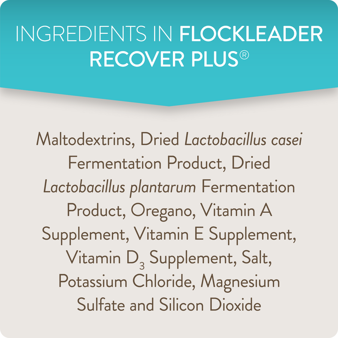 RECOVER PLUS – Moderate Stress Probiotic Water Supplement for Chickens with Electrolytes & Oregano