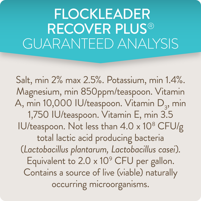 RECOVER PLUS – Moderate Stress Probiotic Water Supplement for Chickens with Electrolytes & Oregano