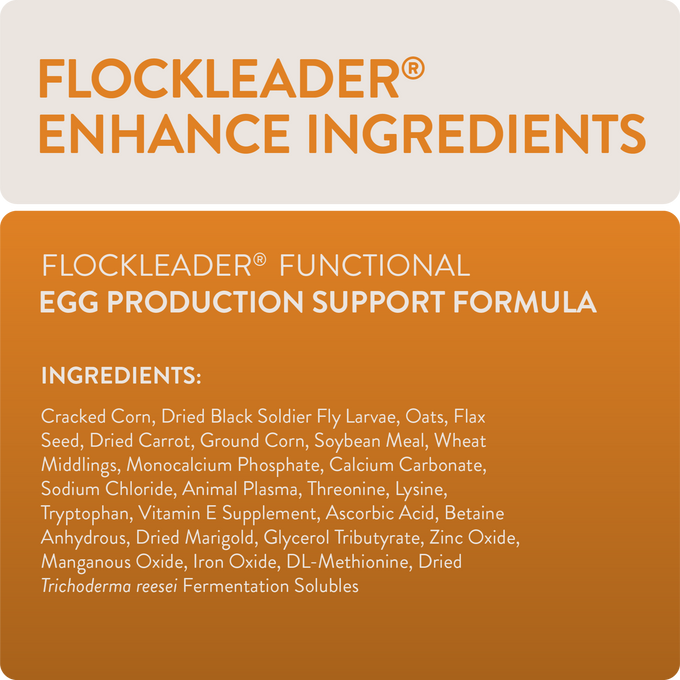 ENHANCE - Functional Poultry Treats for Egg Production & Quality