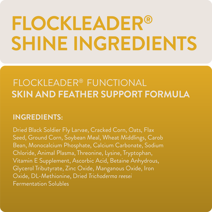 SHINE - Functional Poultry Treats for Skin & Feather Support