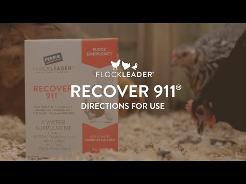 RECOVER 911 – Severe Stress Probiotic Water Supplement for Chickens with Electrolytes, Prebiotics & Oregano